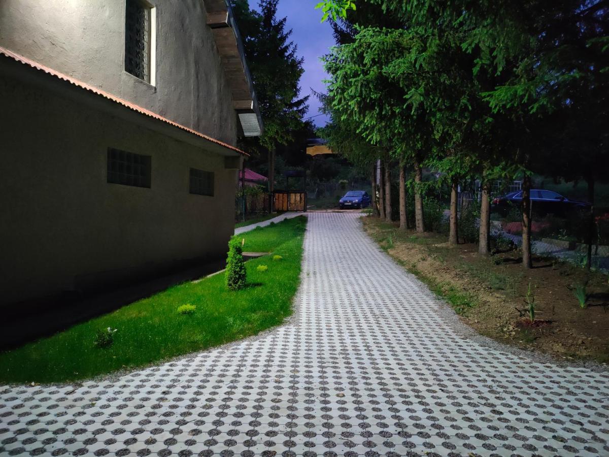 Vila Jezerski Raj Borsko Jezero 外观 照片